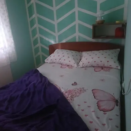 Mir2 Apartment